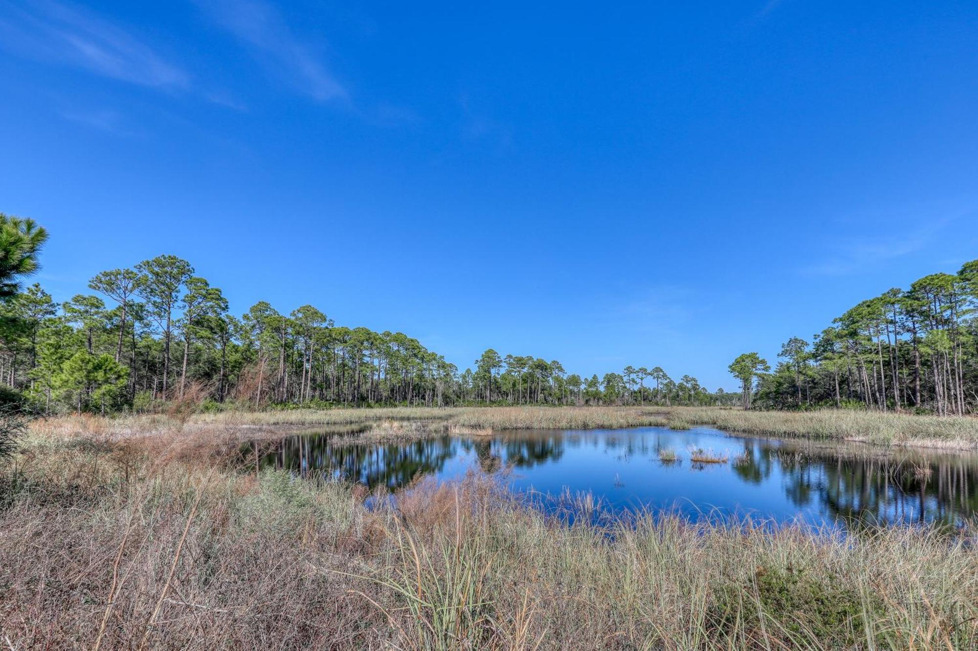 Village Of South Walton B247 Inlet Beach エクステリア 写真