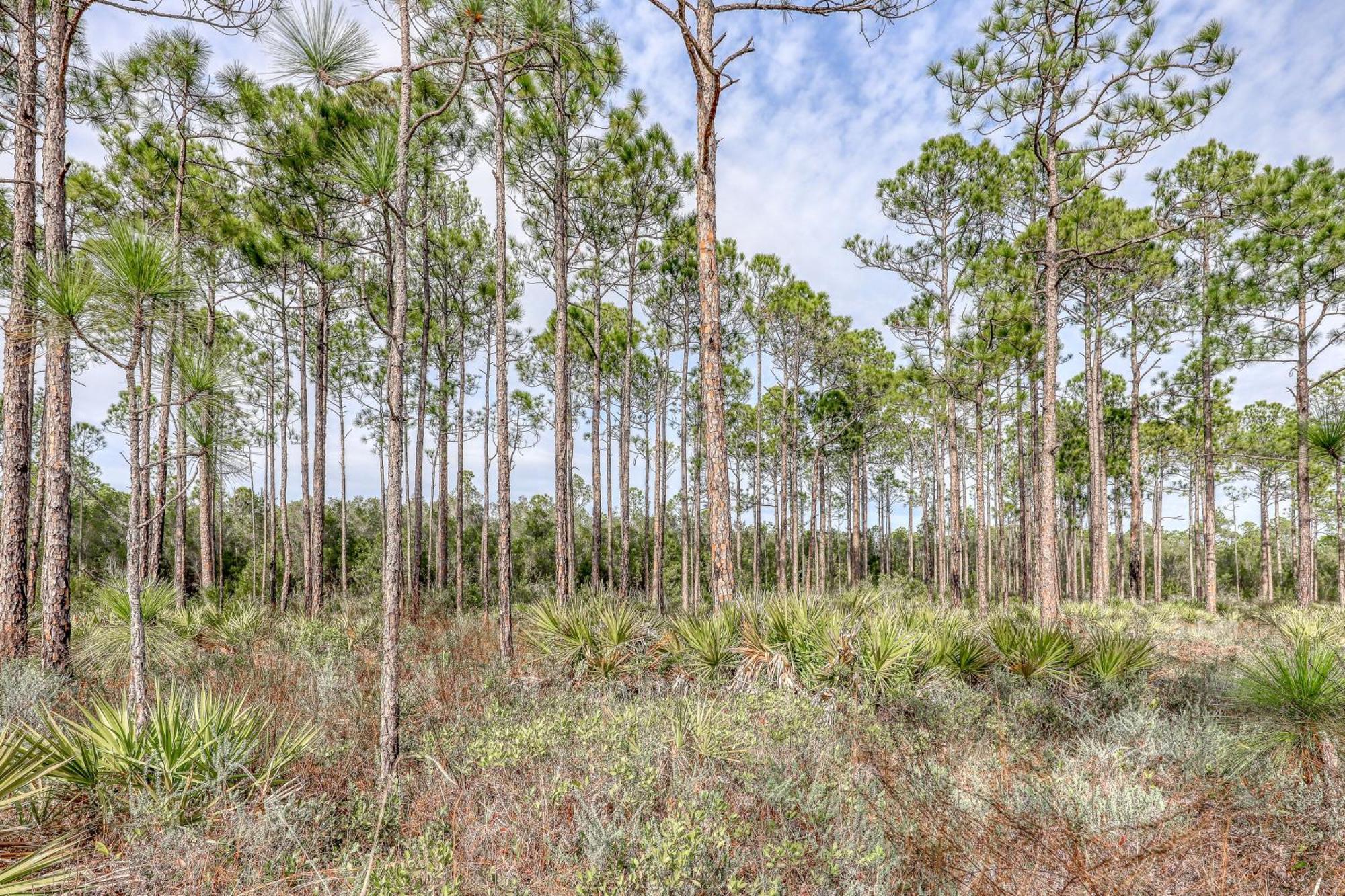 Village Of South Walton B247 Inlet Beach エクステリア 写真